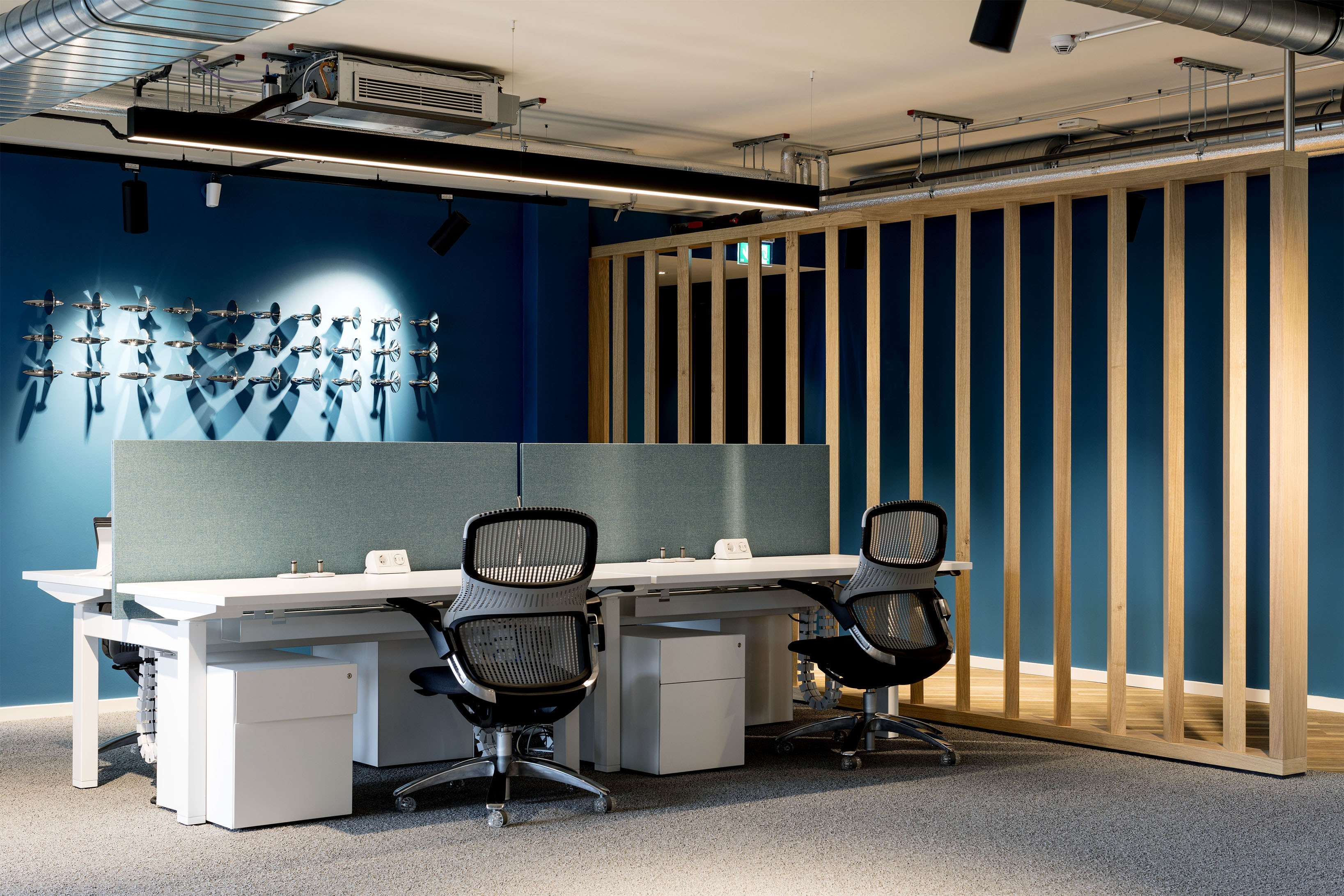 Carrentals 8392 Copy