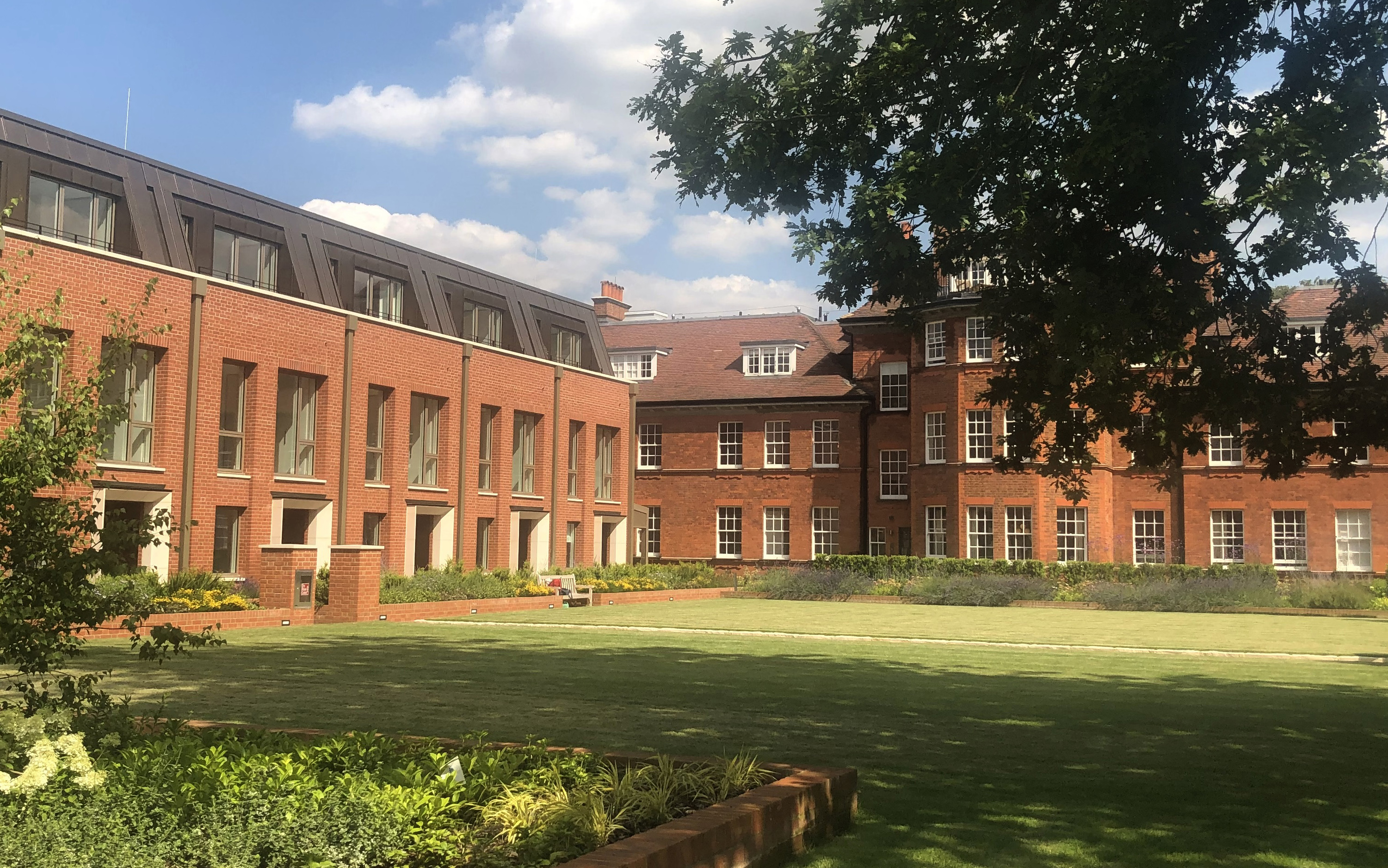 IMG 8996 Cropped (1)